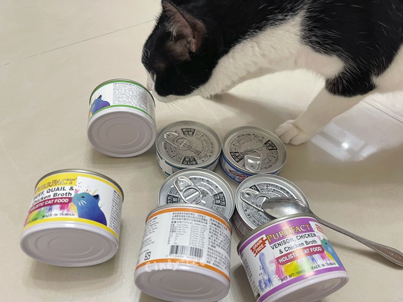 女人知己試用大隊,口碑行銷,部落客行銷,PURRFACT 波菲特貓用主食罐,主食罐,PURRFACT波菲特,貓主食罐,貓罐,PURRFACT波菲特貓用主食罐,魚肉蔓越莓主食罐,鮮嫩雞主食罐,鹿肉雞肉主食罐,牛肉鵪鶉貓主食罐,干貝蠶蛹配方,鱷魚肉白木耳配方,雞肉魚肉配方,安心鶉配方,評價,體驗,適口性佳,心得,成貓適用,高齡貓適用,質地是慕絲狀